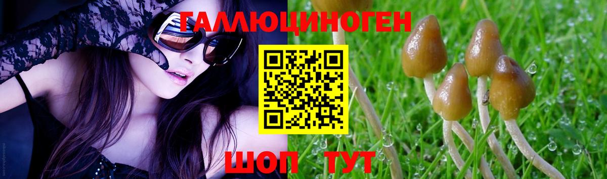 Галлюциногенные грибы Psilocybe Ханты-Мансийск